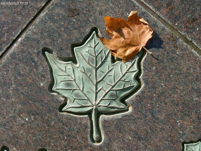 08150033.JPG