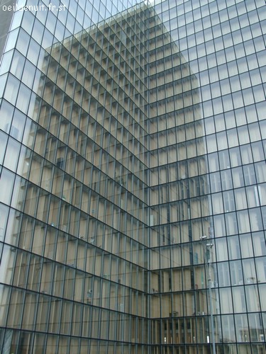 Copie de 06090067.JPG